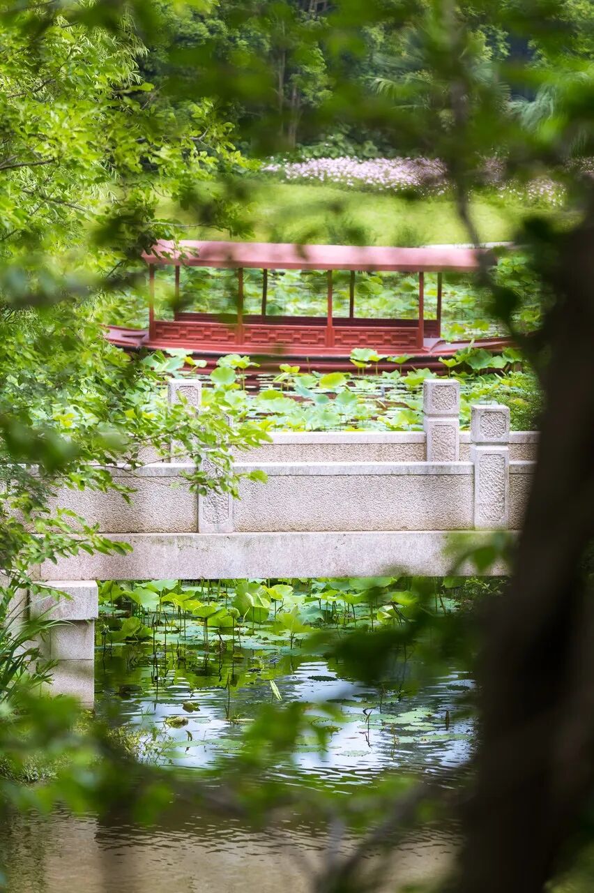 江苏“最小”的城市，面积只有苏州的1/2，比苏州浪漫，比杭州安逸，美到辛弃疾都赞不绝口！