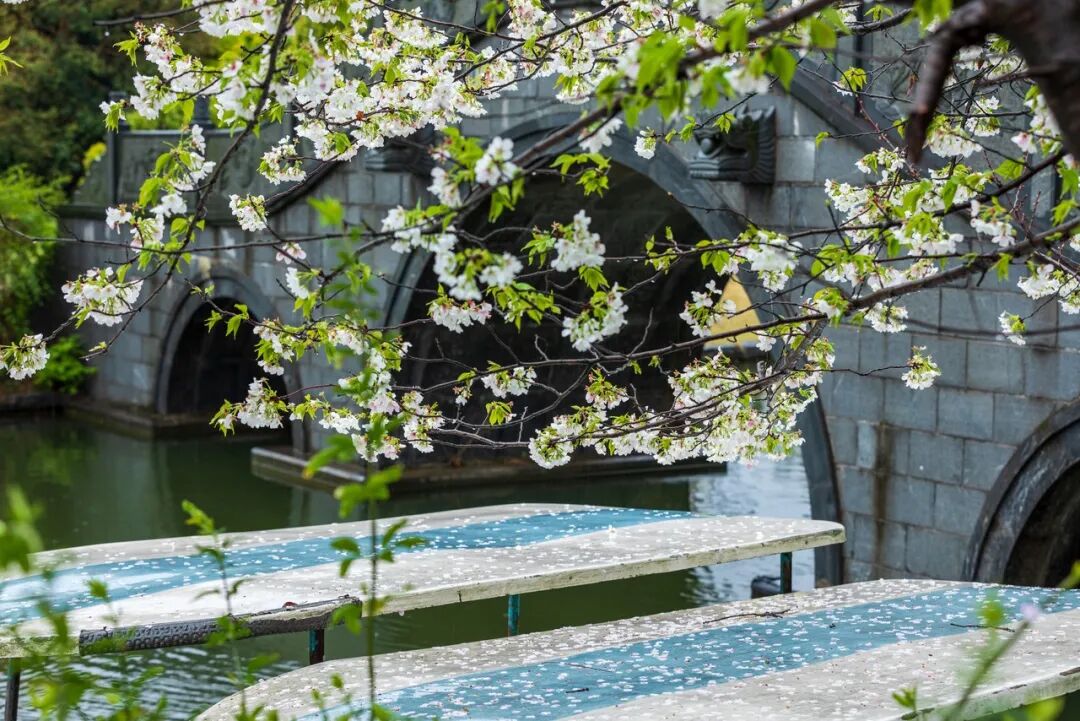 江苏“最小”的城市，面积只有苏州的1/2，比苏州浪漫，比杭州安逸，美到辛弃疾都赞不绝口！