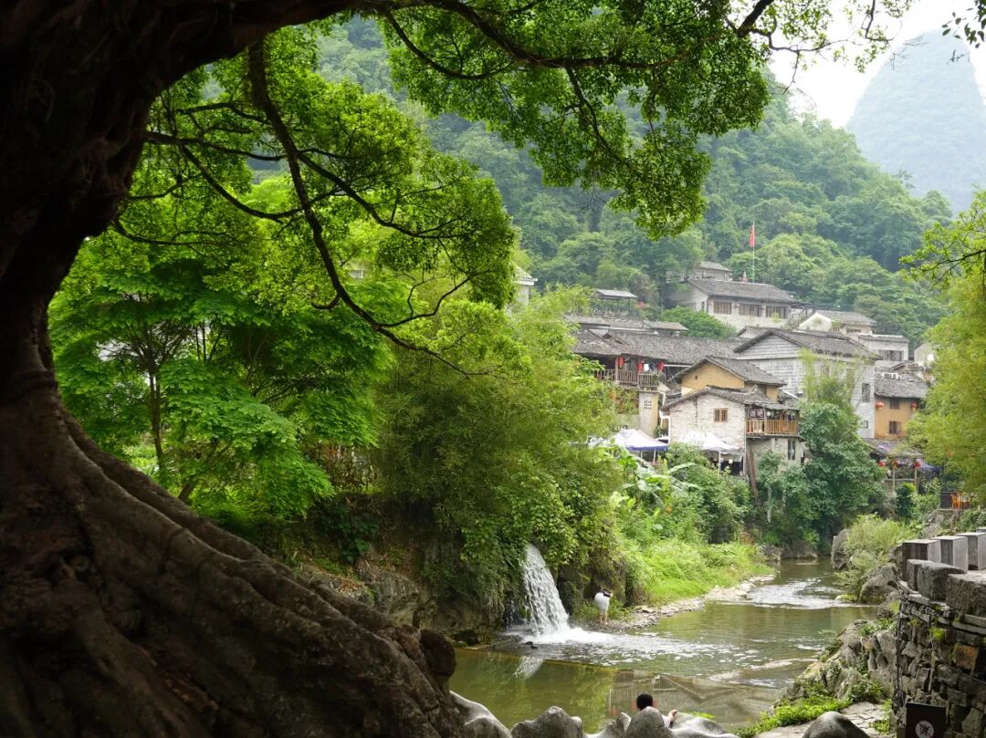 别去丽江挤了！这座距广州一个半小时的千年古镇，高铁直达，比凤凰静谧，比南浔迷人