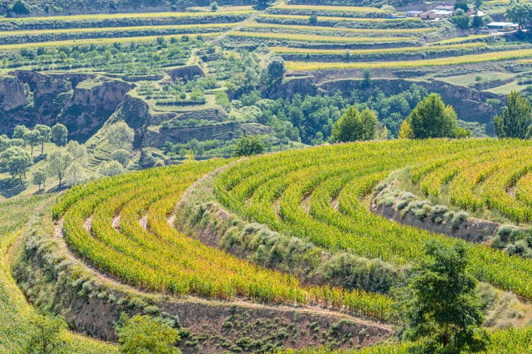 中国最没存在感的省份，不是荒漠，就是丘陵，却被称“塞上江南”，网友：想低调但实力不允许！