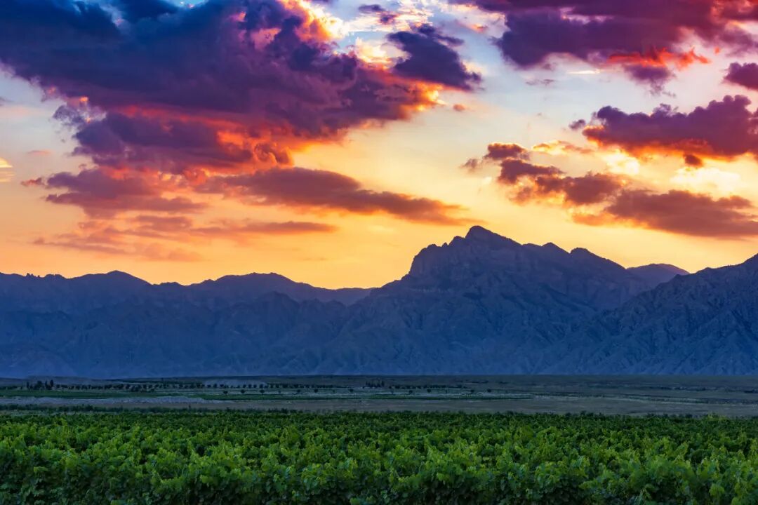 中国最没存在感的省份，不是荒漠，就是丘陵，却被称“塞上江南”，网友：想低调但实力不允许！