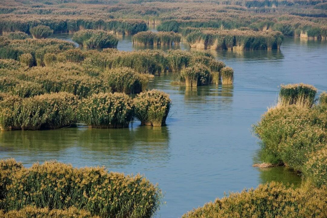 中国最没存在感的省份，不是荒漠，就是丘陵，却被称“塞上江南”，网友：想低调但实力不允许！