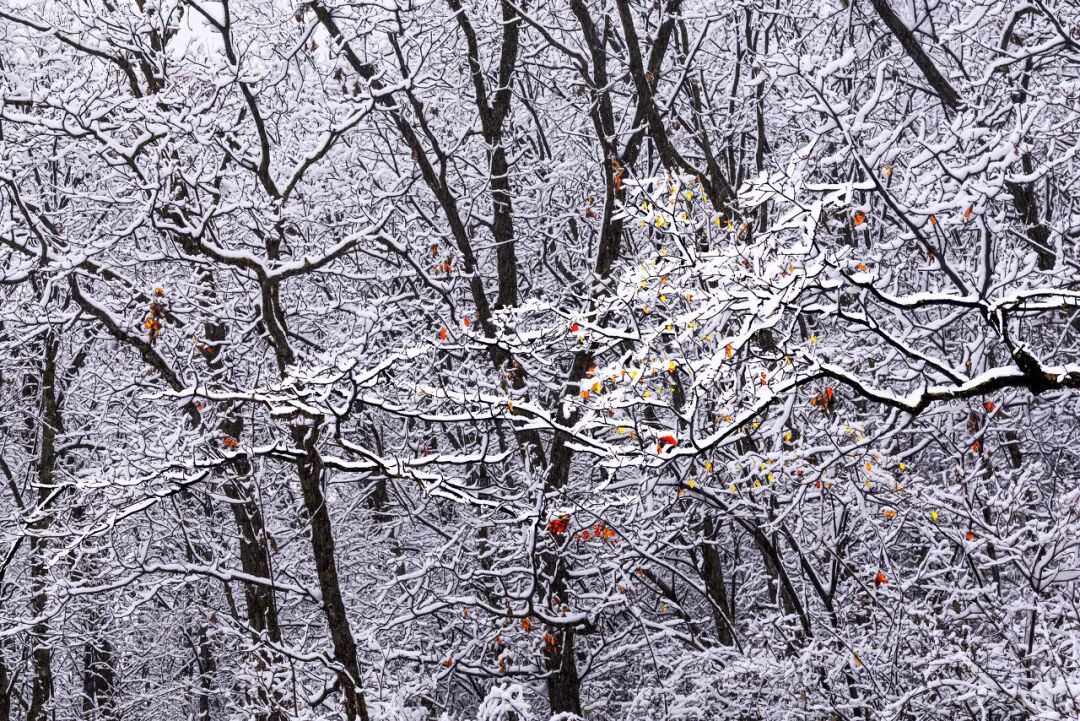 中国最没存在感的省份，不是荒漠，就是丘陵，却被称“塞上江南”，网友：想低调但实力不允许！