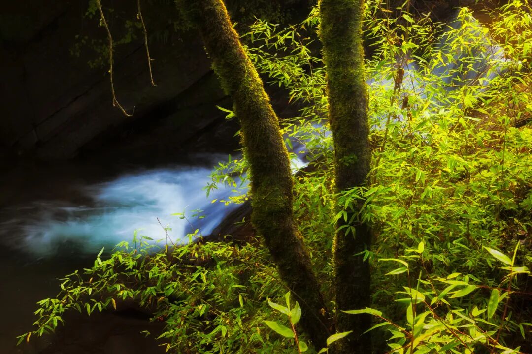 中国最没存在感的省份，不是荒漠，就是丘陵，却被称“塞上江南”，网友：想低调但实力不允许！