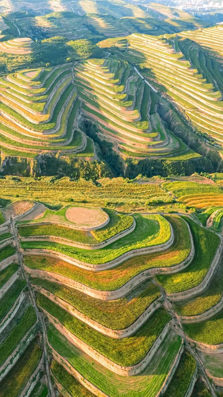 中国最没存在感的省份，不是荒漠，就是丘陵，却被称“塞上江南”，网友：想低调但实力不允许！