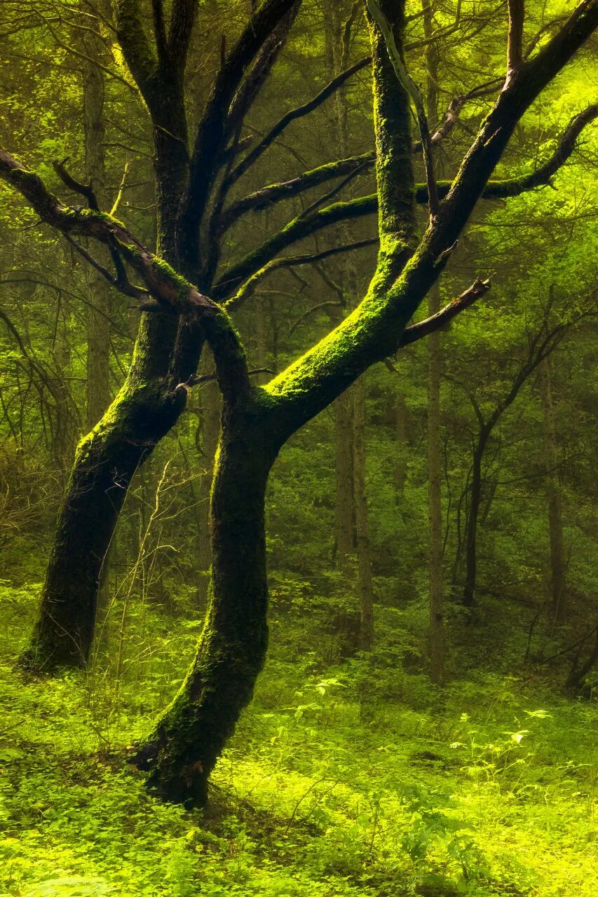 中国最没存在感的省份，不是荒漠，就是丘陵，却被称“塞上江南”，网友：想低调但实力不允许！