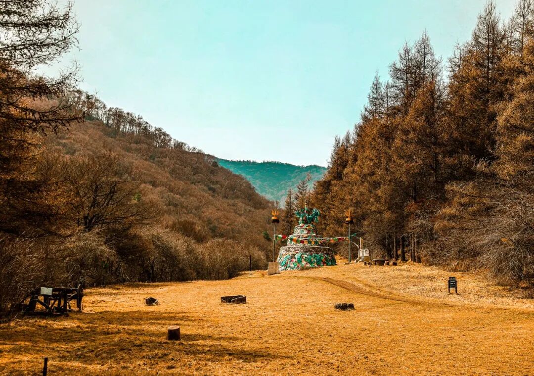 中国最没存在感的省份，不是荒漠，就是丘陵，却被称“塞上江南”，网友：想低调但实力不允许！