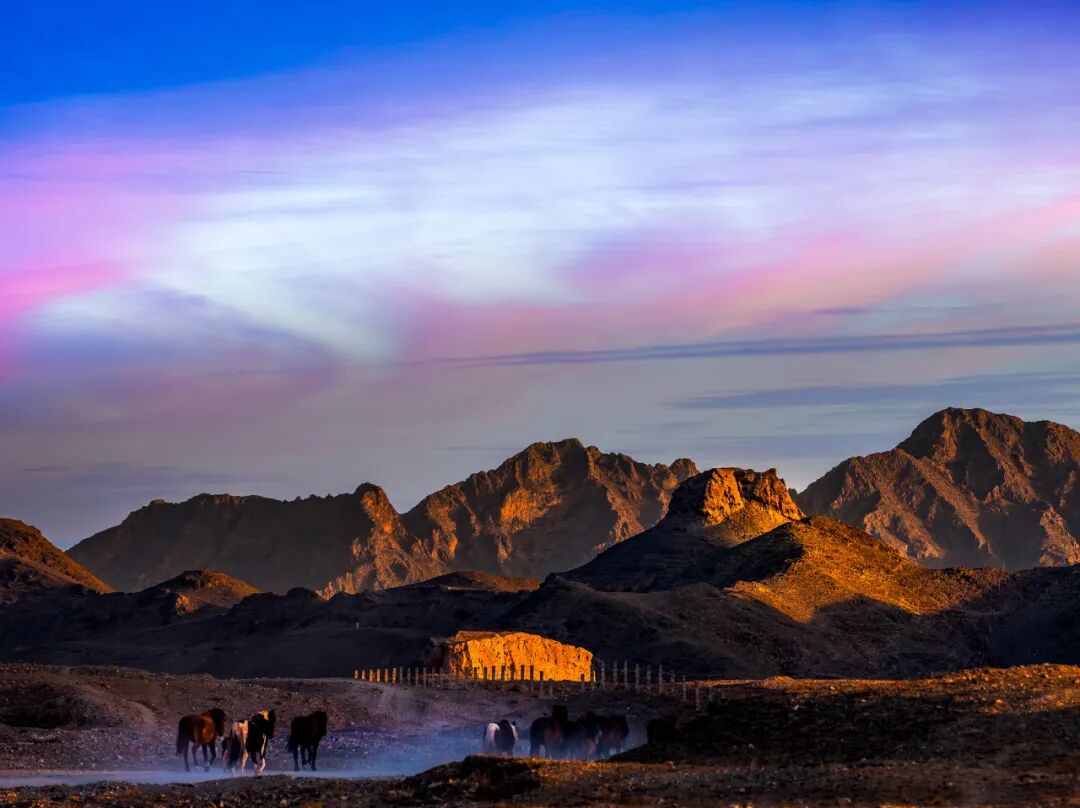 中国最没存在感的省份，不是荒漠，就是丘陵，却被称“塞上江南”，网友：想低调但实力不允许！