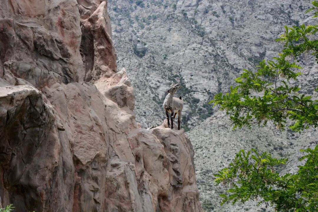 中国最没存在感的省份，不是荒漠，就是丘陵，却被称“塞上江南”，网友：想低调但实力不允许！