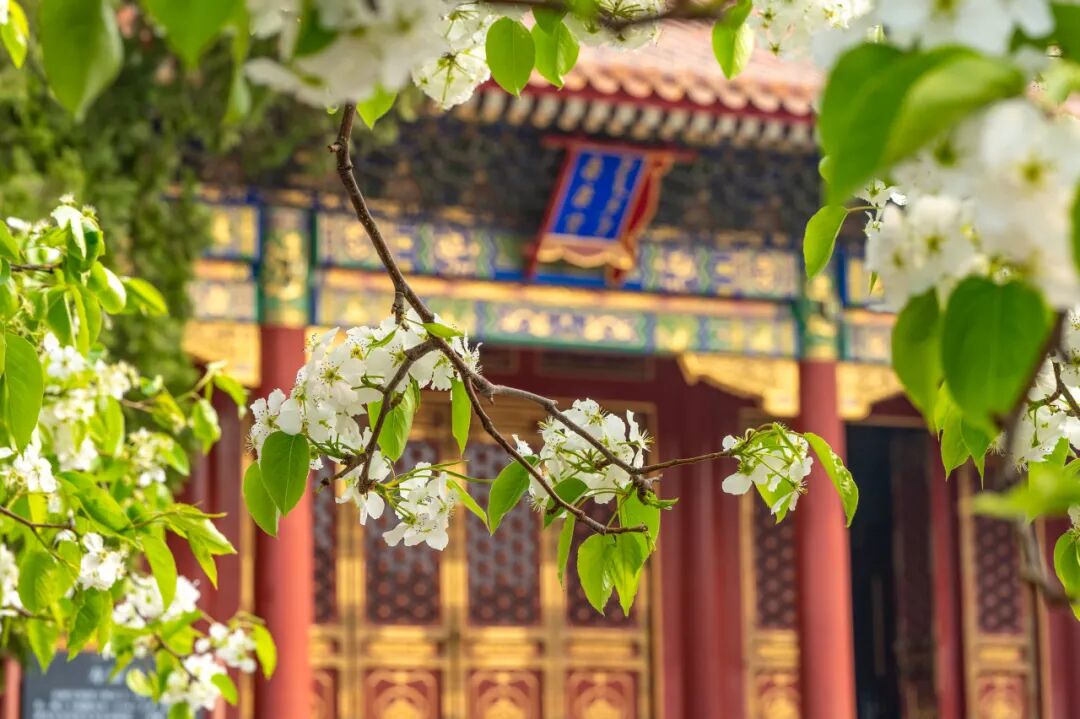 中国“零差评”的5座旅游城市，50岁前一定要去一次！