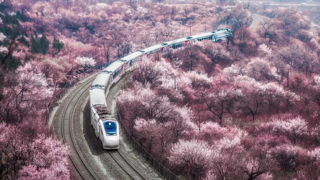 中国“零差评”的5座旅游城市，50岁前一定要去一次！