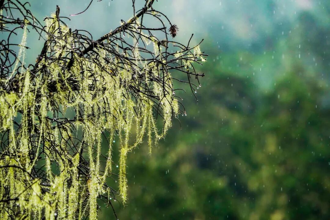 中国唯一买票才能进的县城，风景不输稻城，水色媲美九寨，很多人都没听说过！