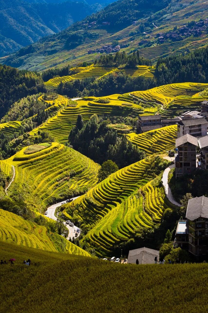 中国“零差评”的5座旅游城市，50岁前一定要去一次！