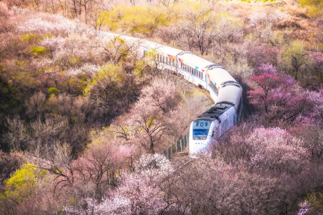 中国“零差评”的5座旅游城市，50岁前一定要去一次！