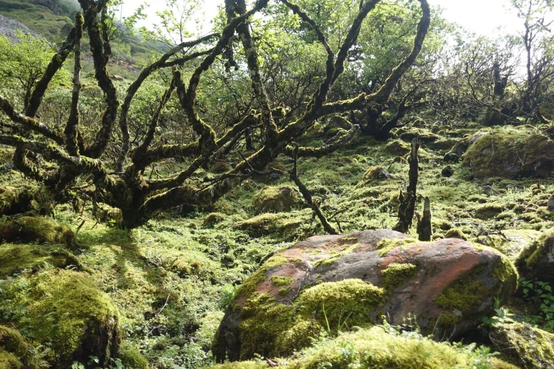 中国唯一买票才能进的县城，风景不输稻城，水色媲美九寨，很多人都没听说过！