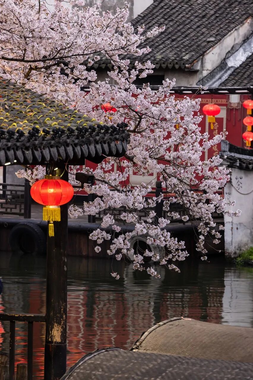 最佛系的江南小城藏不住了！凭“中国最美火车站”爆火，2.6亿网友心动：想去打地铺！