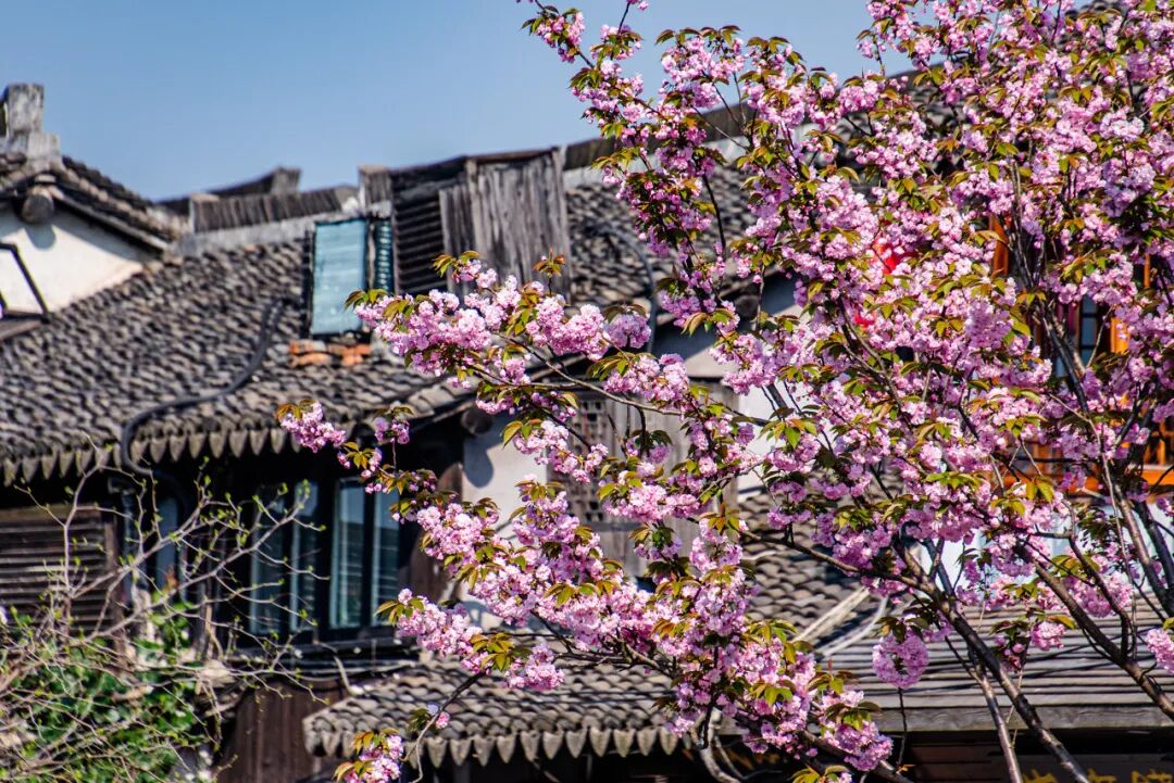 最佛系的江南小城藏不住了！凭“中国最美火车站”爆火，2.6亿网友心动：想去打地铺！