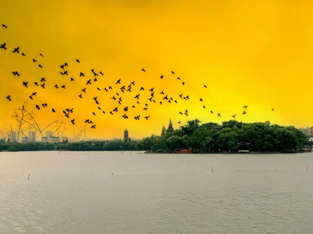 最佛系的江南小城藏不住了！凭“中国最美火车站”爆火，2.6亿网友心动：想去打地铺！