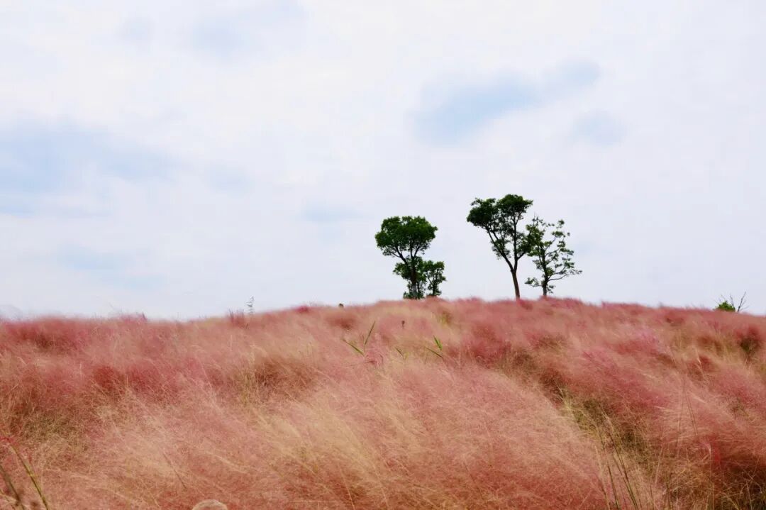 最佛系的江南小城藏不住了！凭“中国最美火车站”爆火，2.6亿网友心动：想去打地铺！