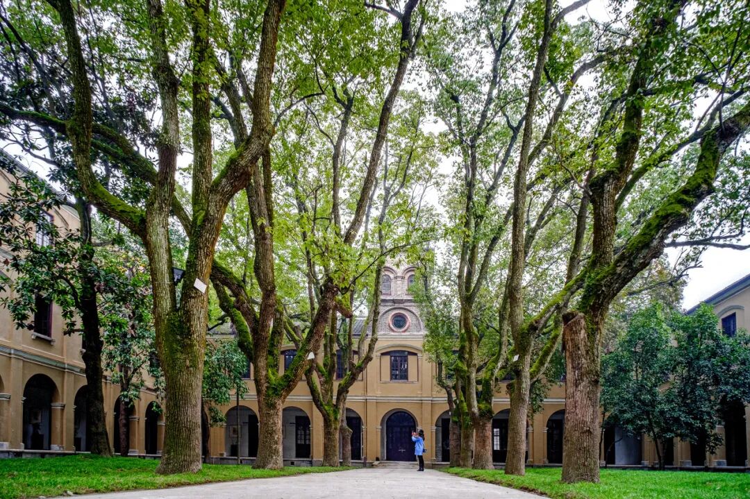 最佛系的江南小城藏不住了！凭“中国最美火车站”爆火，2.6亿网友心动：想去打地铺！