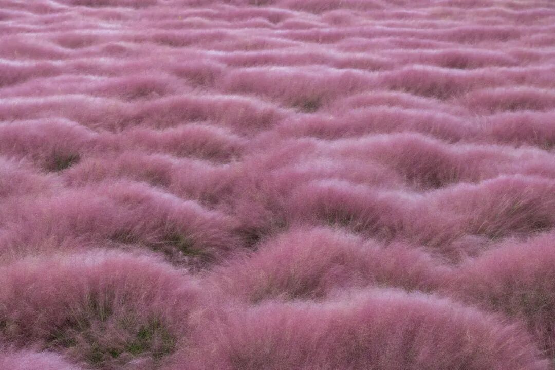 最佛系的江南小城藏不住了！凭“中国最美火车站”爆火，2.6亿网友心动：想去打地铺！