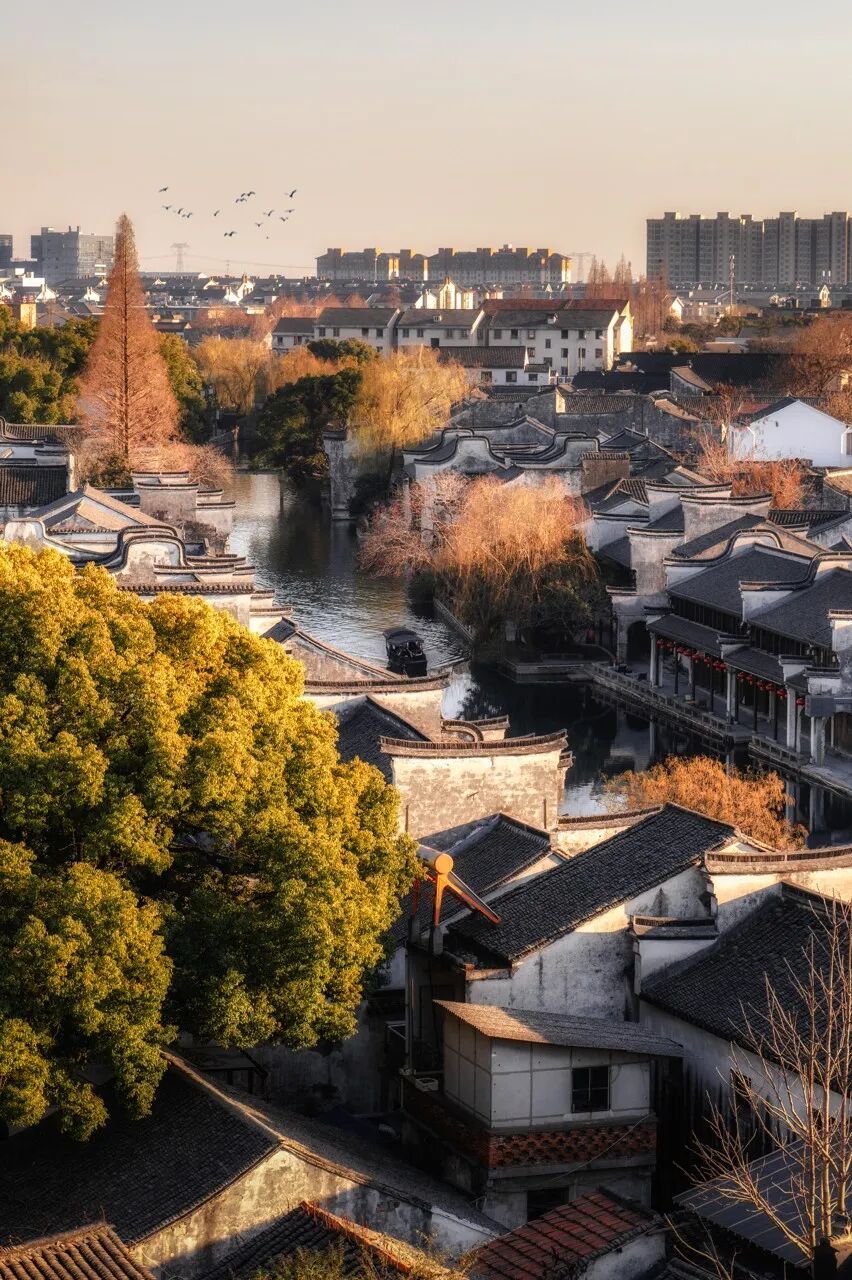 高铁直达！适合懒人出行的5个“窝囊废”小众城市，躺平也能玩出幸福感!