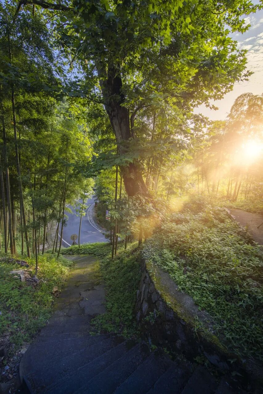 高铁直达！适合懒人出行的5个“窝囊废”小众城市，躺平也能玩出幸福感!