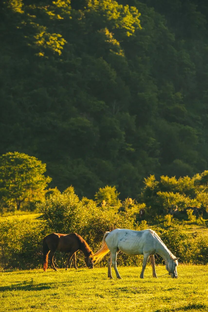 高铁直达！适合懒人出行的5个“窝囊废”小众城市，躺平也能玩出幸福感!