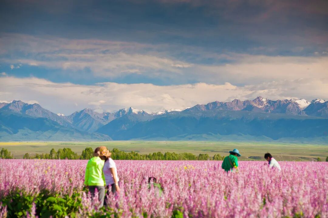 6月最值得去的避暑胜地，不扎堆不拥挤，比空调屋还凉快，随便挑一个去过25℃的夏天！