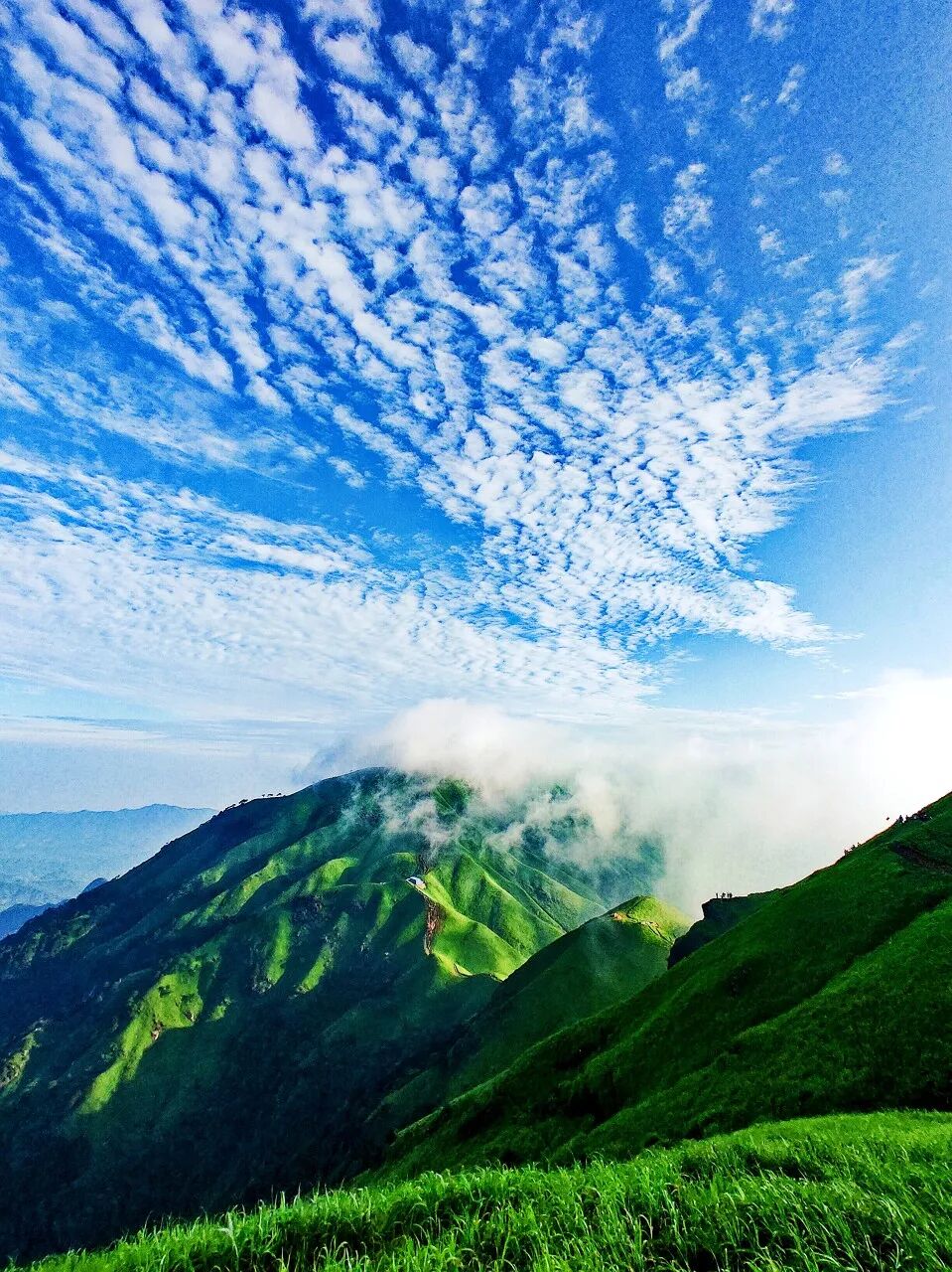 6月最值得去的避暑胜地，不扎堆不拥挤，比空调屋还凉快，随便挑一个去过25℃的夏天！