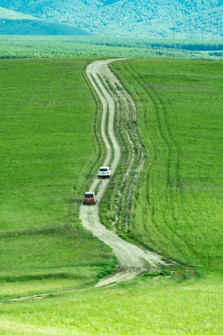 6月最值得去的避暑胜地，不扎堆不拥挤，比空调屋还凉快，随便挑一个去过25℃的夏天！
