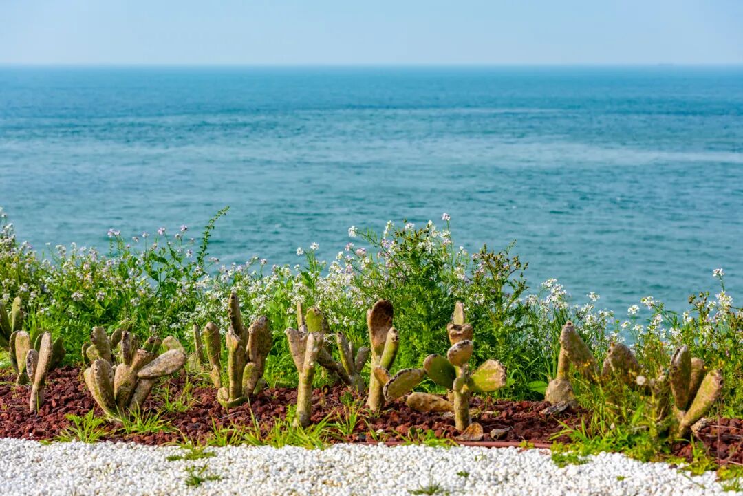 6月最值得去的避暑胜地，不扎堆不拥挤，比空调屋还凉快，随便挑一个去过25℃的夏天！