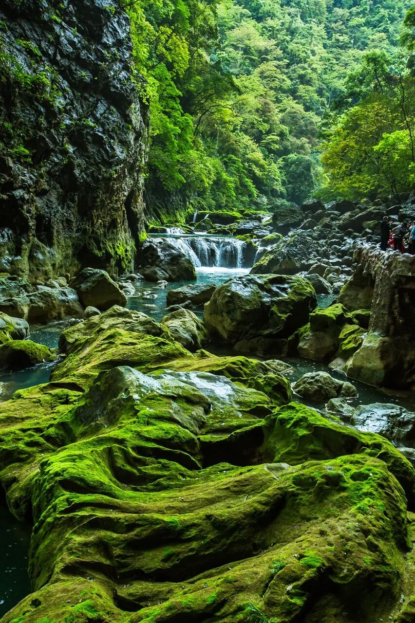6月最值得去的避暑胜地，不扎堆不拥挤，比空调屋还凉快，随便挑一个去过25℃的夏天！