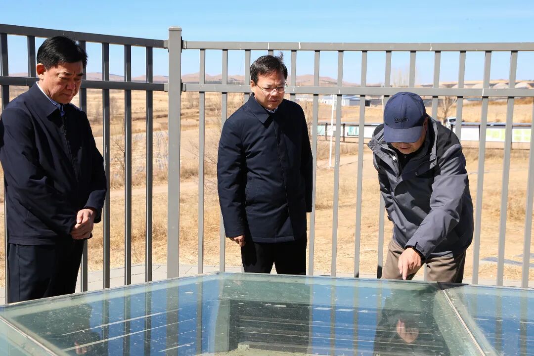 微信图片_20260330202956_79_165.jpg