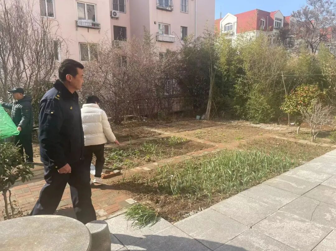 春季护绿整治圈地种菜乱象