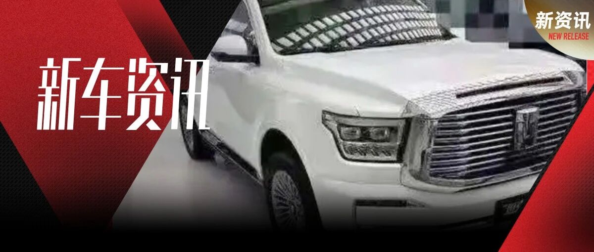 演绎别样的硬派霸气！坦克600新车谍照曝光