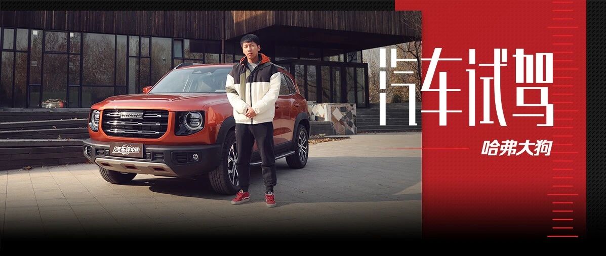 遛狗感受可靠忠诚！孟斌试驾哈弗大狗马犬版