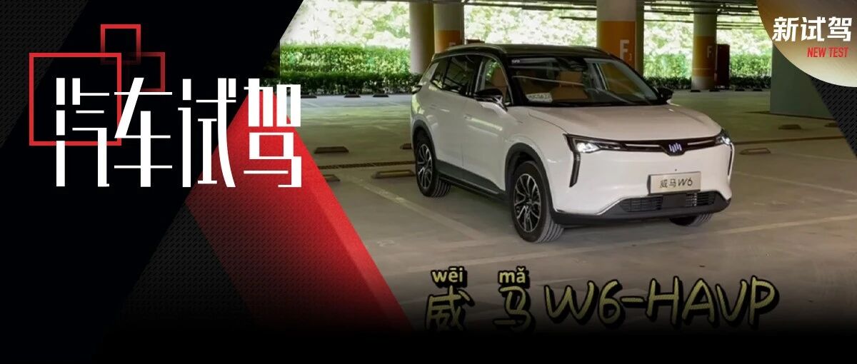威马W6-HAVP自主学习无人泊车