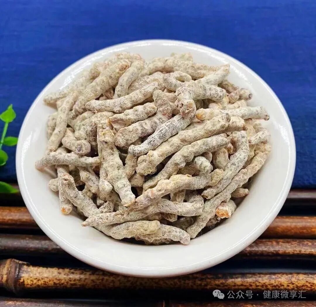 一味白僵蚕，专攻痰瘀型甲状腺结节