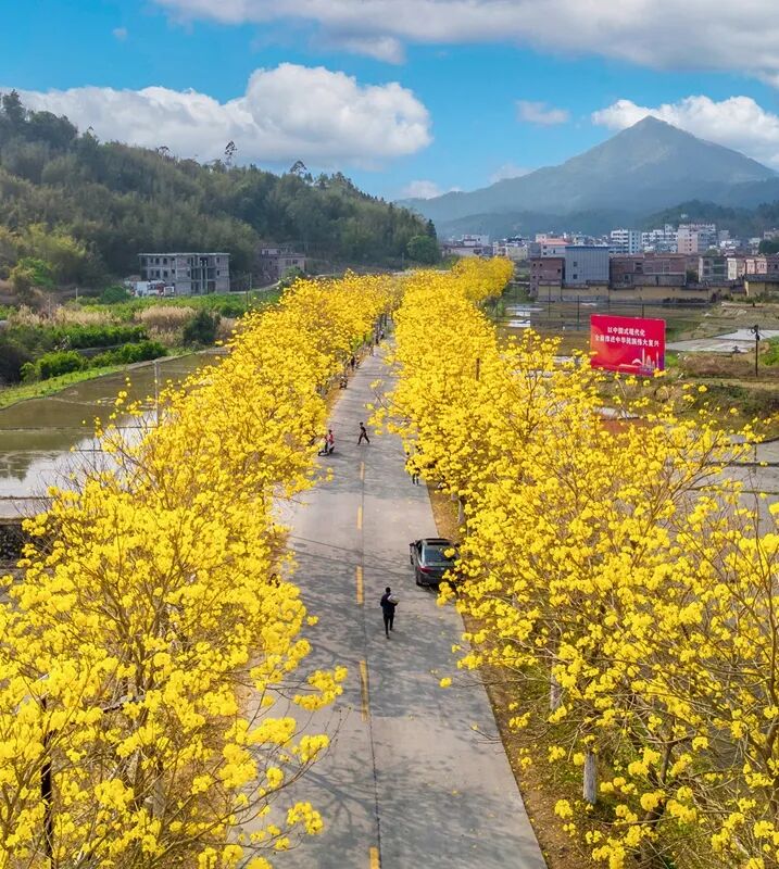 出圈又出片在广宁一路都是好风景转子广宁发布