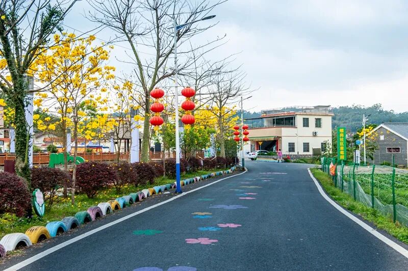 出圈又出片在广宁一路都是好风景转子广宁发布