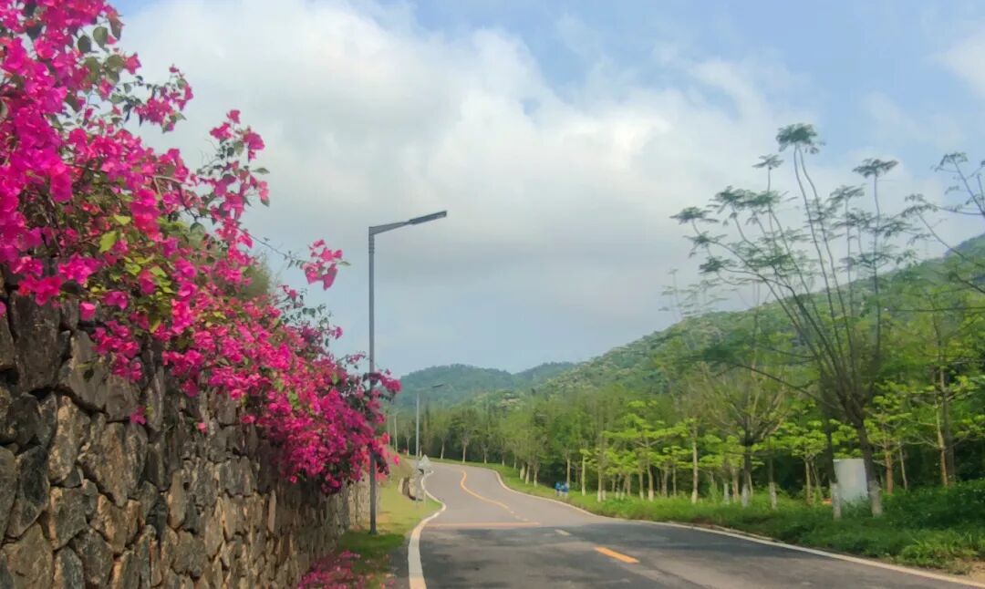 的路上行驶在宾亨镇▲北市镇省道s260(李文熀摄)▲北市镇省道s260