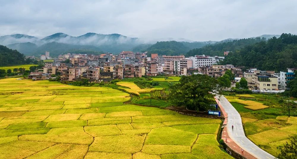 广宁旅游景点简介图片