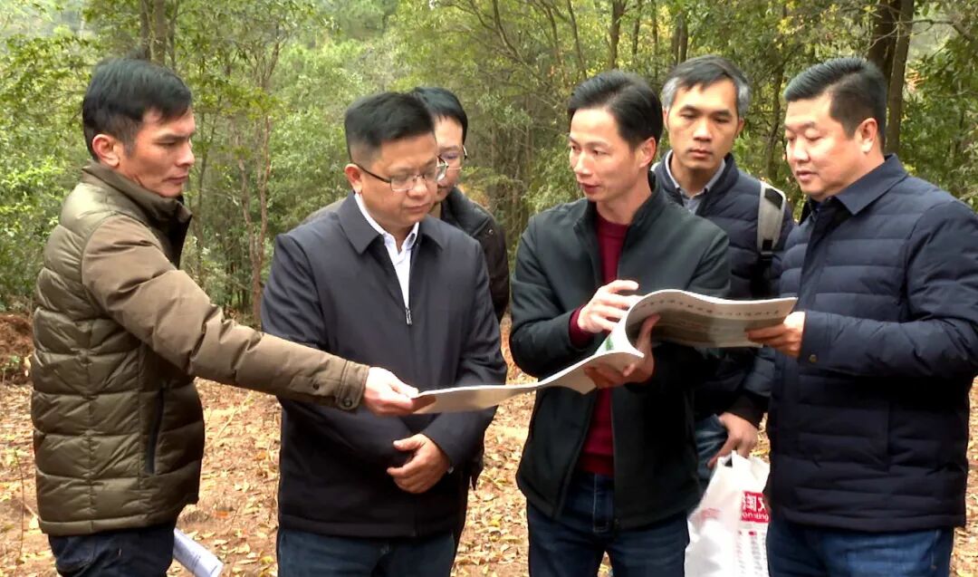 陈超常督导检查竹海公园绿美示范点项目建设-肇庆市广宁县人民政府