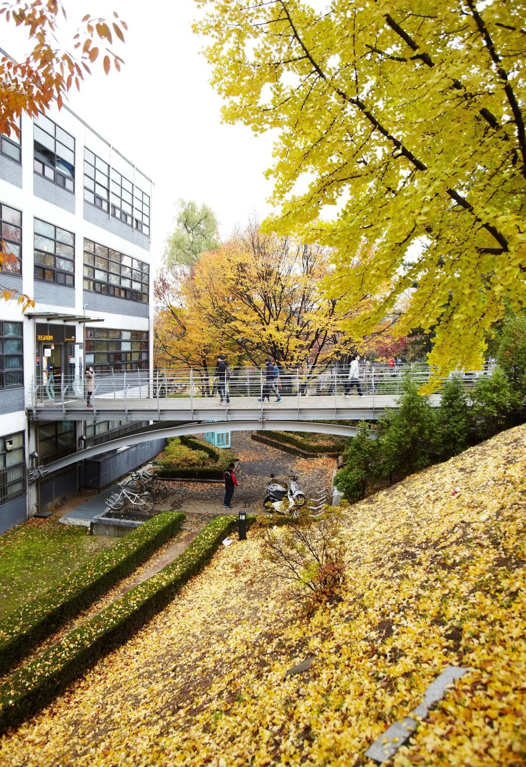 韩国亚洲大学莅临领创学校推进战略合作协议深度融合