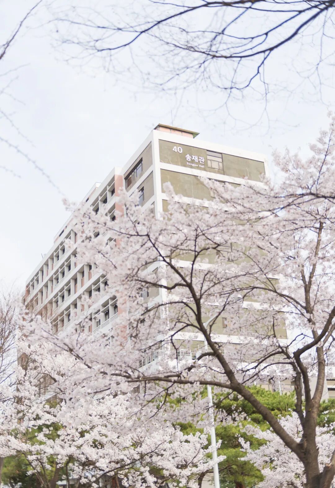 韩国亚洲大学莅临领创学校推进战略合作协议深度融合