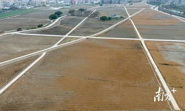 龙湖区河滨高地智慧农业种植提升项目已完成地块清表和表土剥离工作。