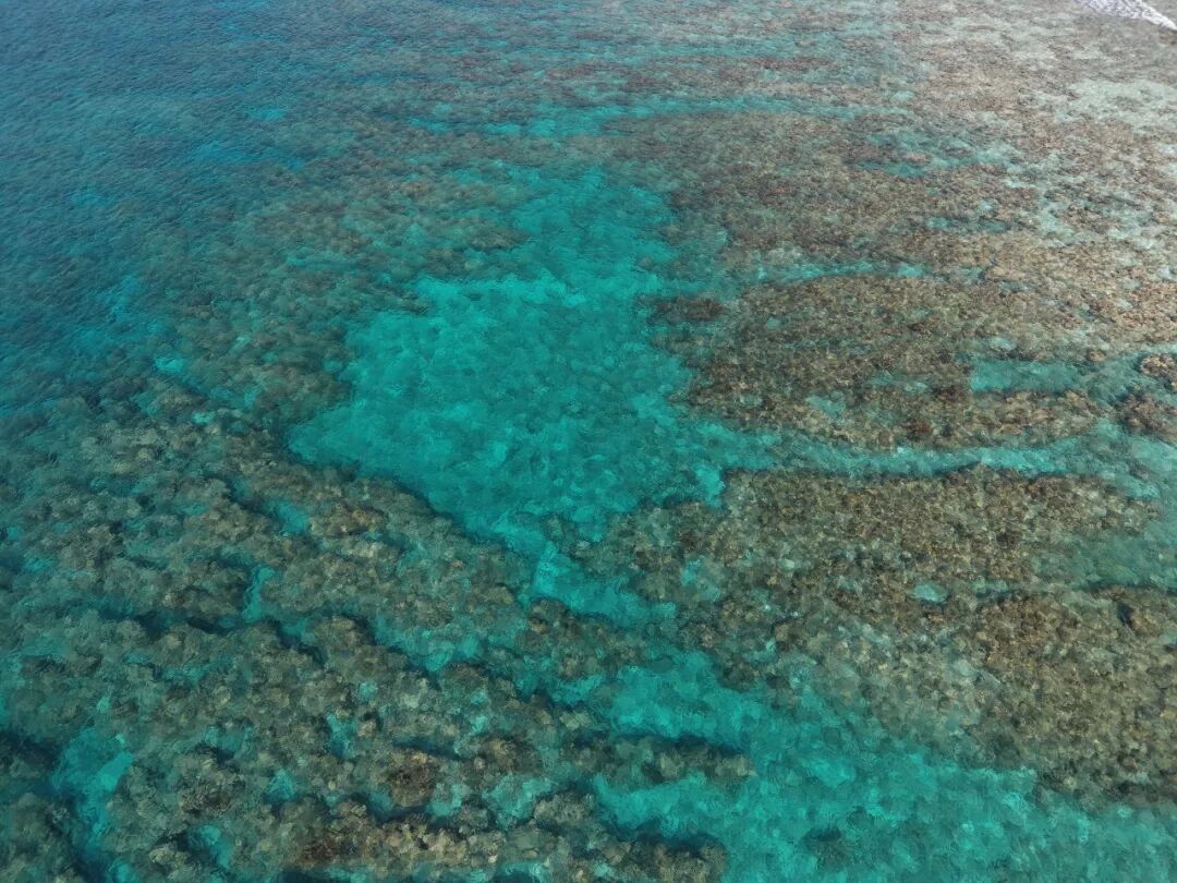 2琉璃海色漫礁盘，水下肌理一览无余.JPG