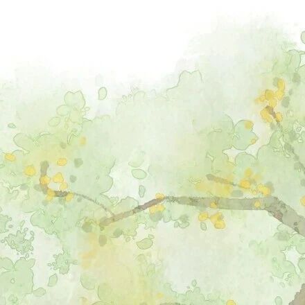 【青春语文·周六读书】书香绕心间，满目皆晴朗