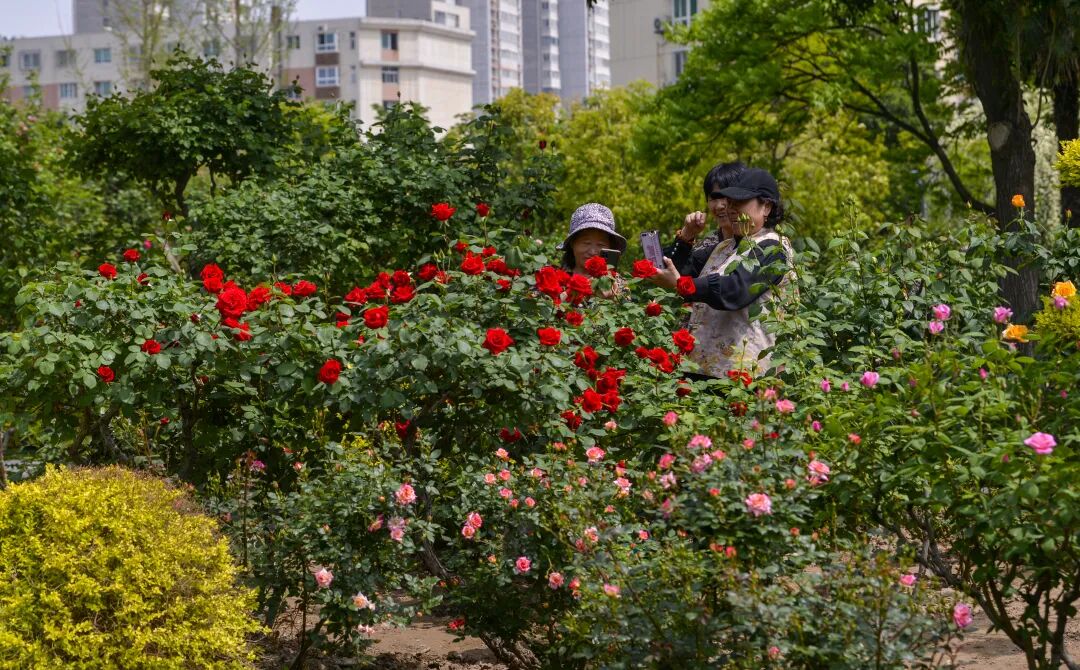 大河早新闻今晨局部强浓雾今晚起河南大部有雨胖东来